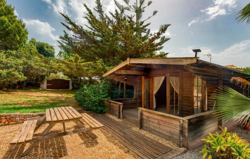 Spacious and private luxury villa with pool