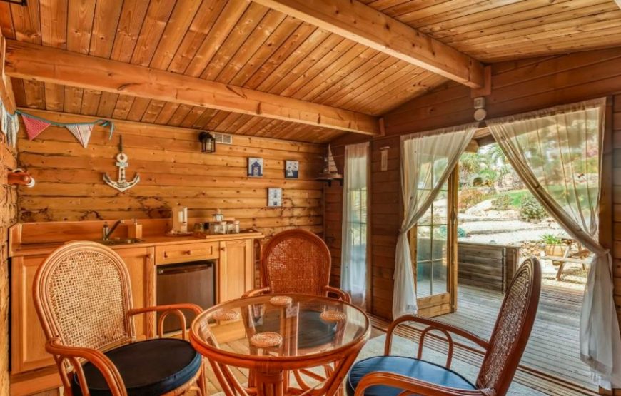 Spacious and private luxury villa with pool